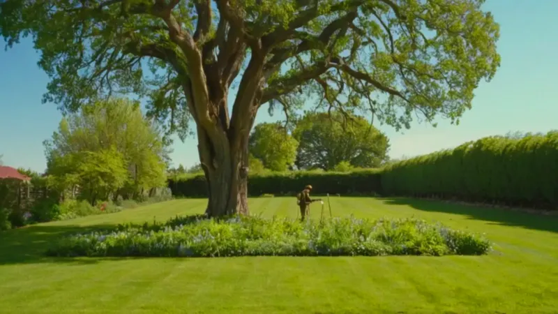 Una persona poda un árbol al sol