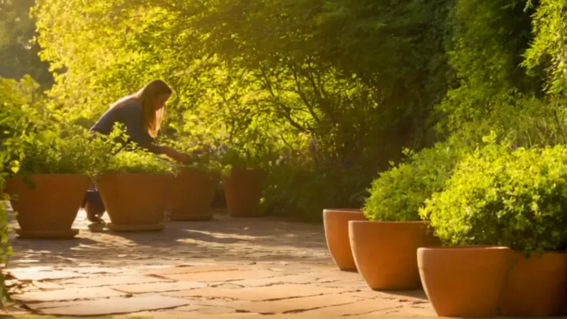 Alguien trasplanta plantas en un jardín soleado