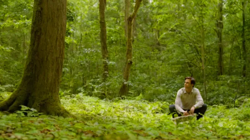 Una figura contempla la naturaleza en el bosque