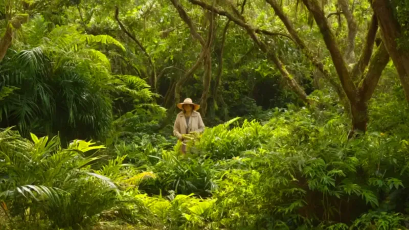 Agricultor cultivando en la selva