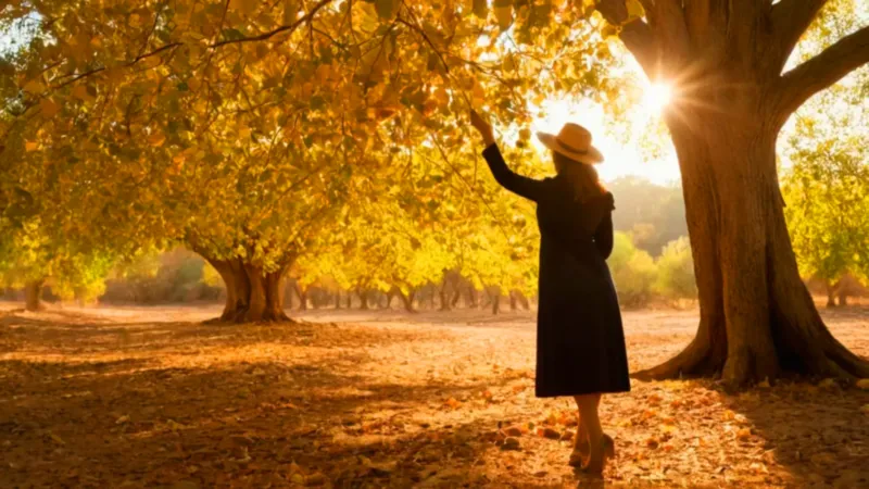 Mujer cosecha nances bajo el sol