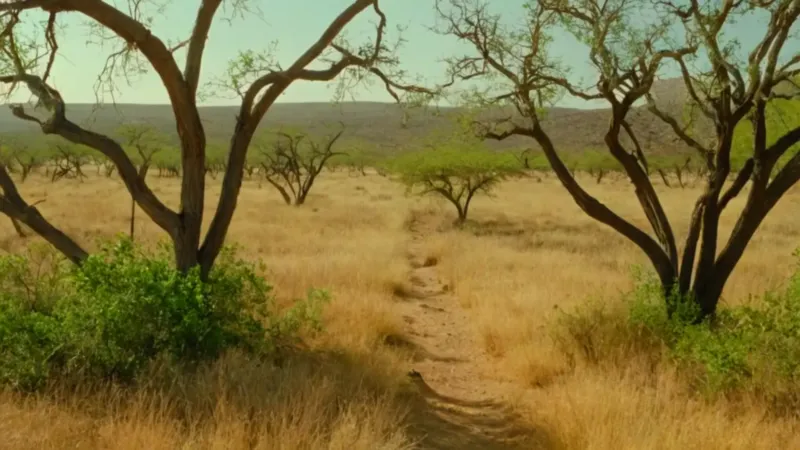 Hombre solitario en la llanura árida