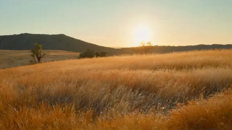 Una botánica estudia la flora en soledad