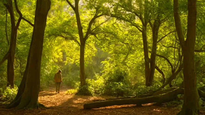 Una figura junto a un árbol frutal