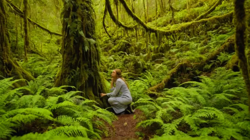 Una figura examina una liana en la selva