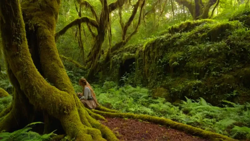 Figura solitaria en la selva iluminada