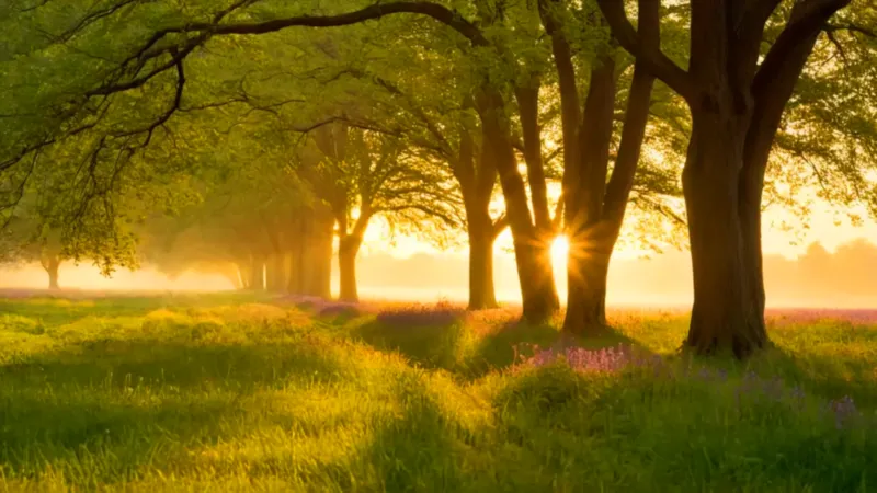 Figura arrodillada en un prado florido