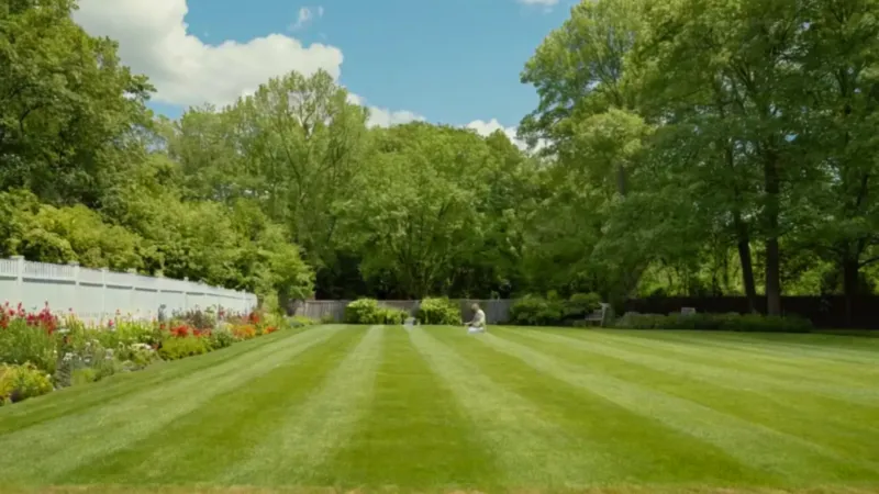 Una persona inspecciona el césped del jardín