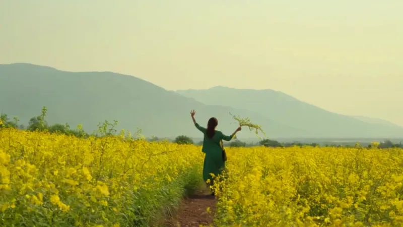 Mujer cosechando flores en un campo soleado