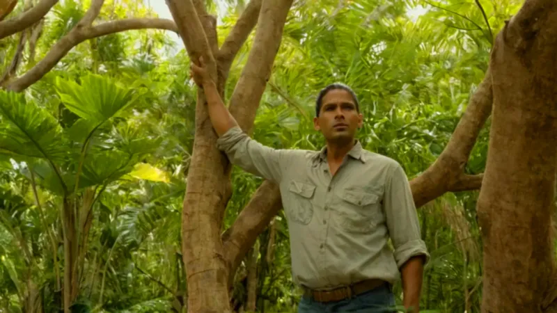 Alguien cosecha fruta en la selva