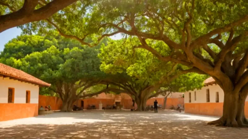 Un inmenso árbol preside la plaza