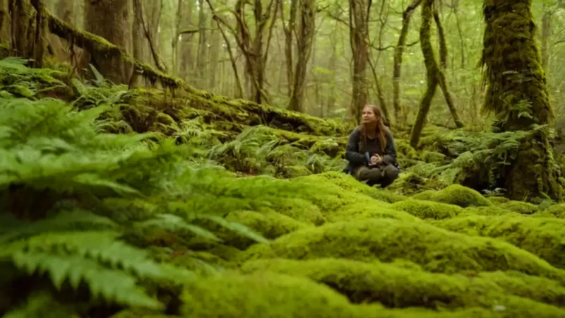 Una figura estudia plantas en el bosque