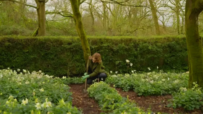Alguien cuida flores en el bosque