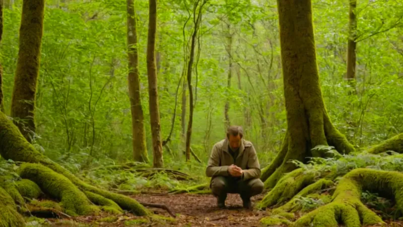 Persona examina la vegetación del bosque
