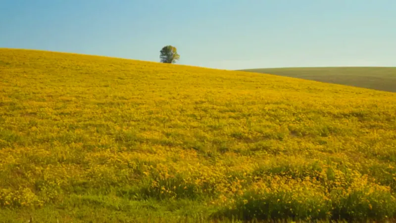 Figura agachada en un paisaje soleado