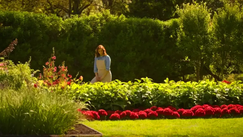 Persona cuidando un jardín al atardecer