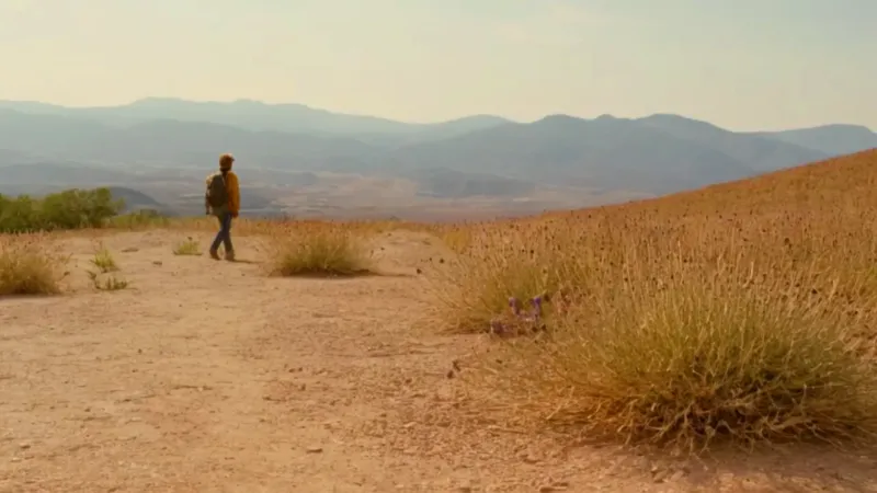Un solitario contempla el valle dorado