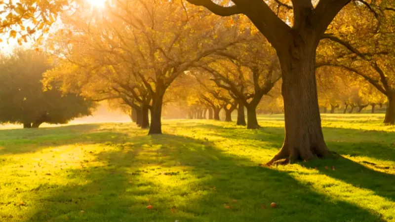 Figura a contraluz alcanza una manzana