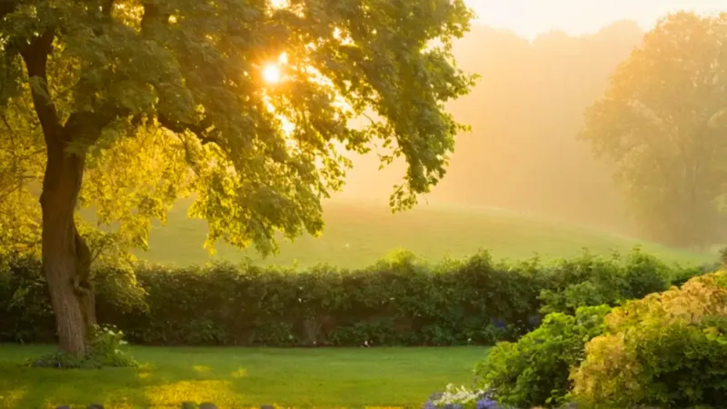 Figura contempla el jardín al amanecer