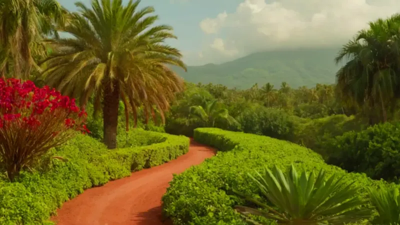 Una figura solitaria camina en un paisaje tropical