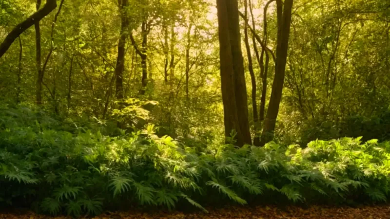 Una figura inerte yace bajo el floripondio