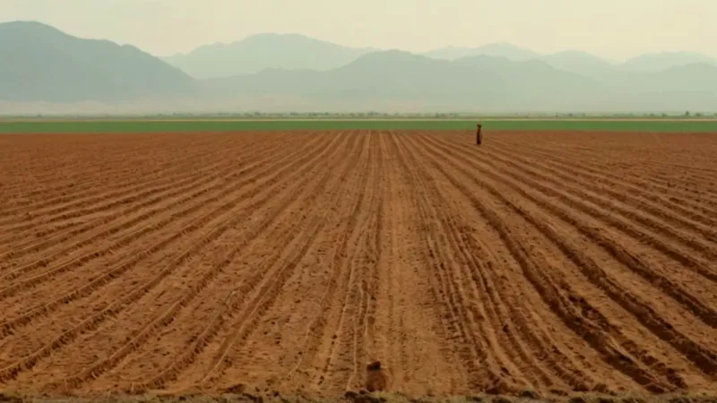 Agricultor siembra en la llanura árida