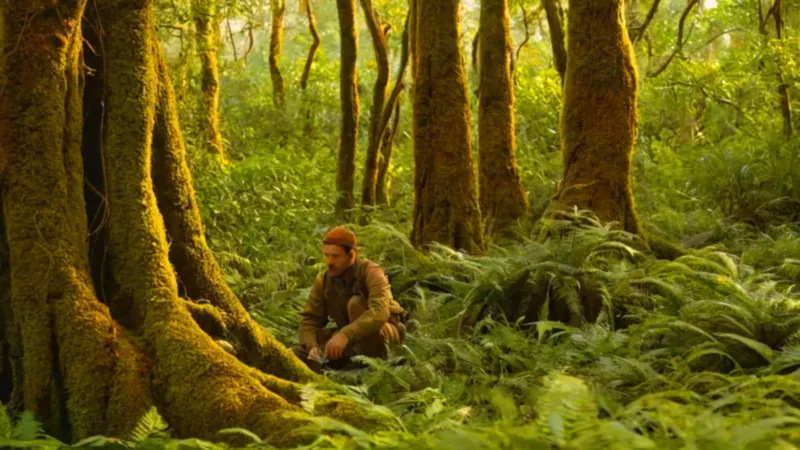 Alguien recolecta frutos en la selva