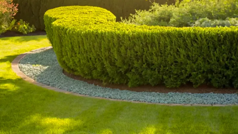 Jardinero arrodillado cuida su jardín