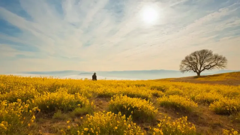 Persona arrodillada en un prado florido