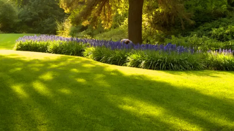 Alguien cuida el jardín al atardecer