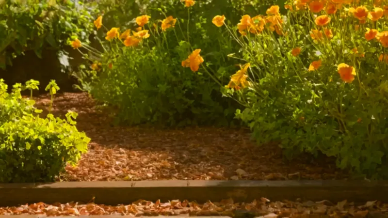 Alguien trabaja en su jardín soleado