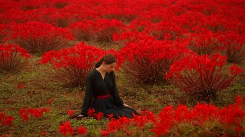 Figura solitaria en un mar de flores