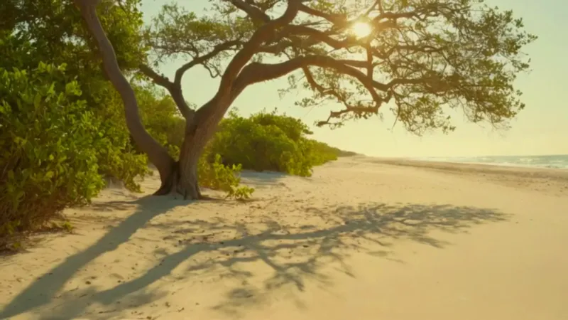 Figura bajo un árbol contempla el mar