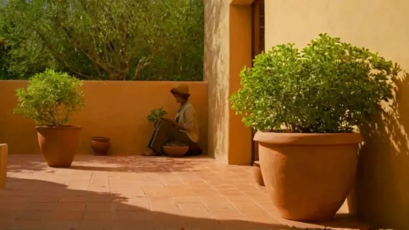 Persona cuidando una planta al sol