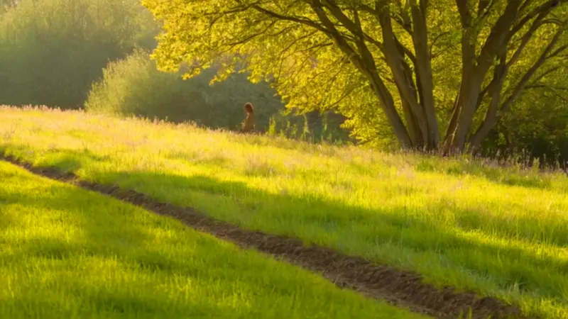 Una figura planta en el campo