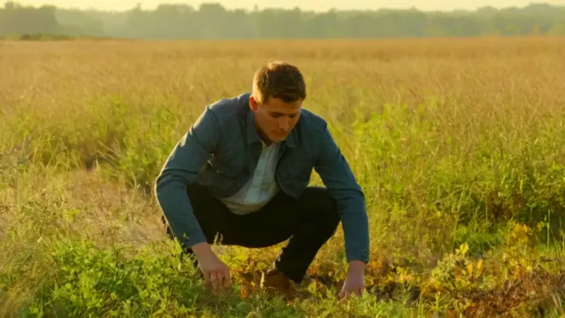 Figura cosechando en un campo al atardecer