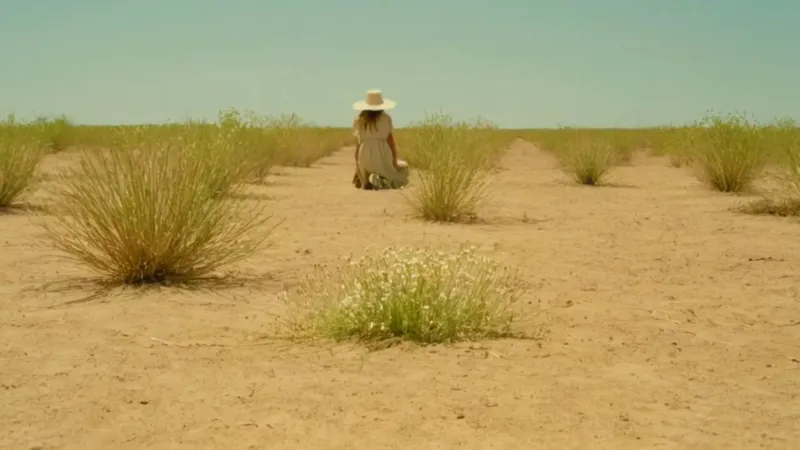 Alguien trabaja la tierra bajo el sol