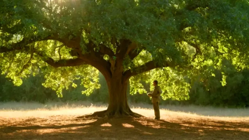 Un agricultor inspecciona su huerto soleado