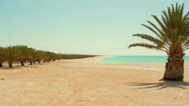 Un observador en la árida costa