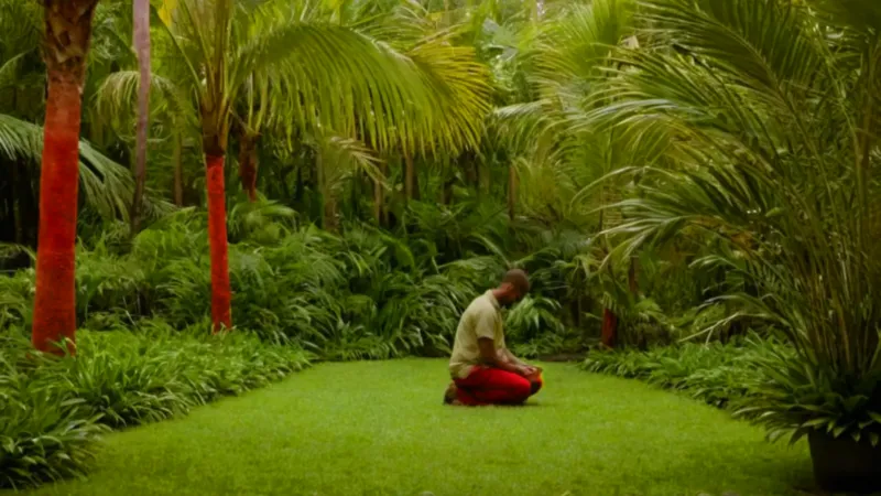 Cuidando una planta entre palmas rojas