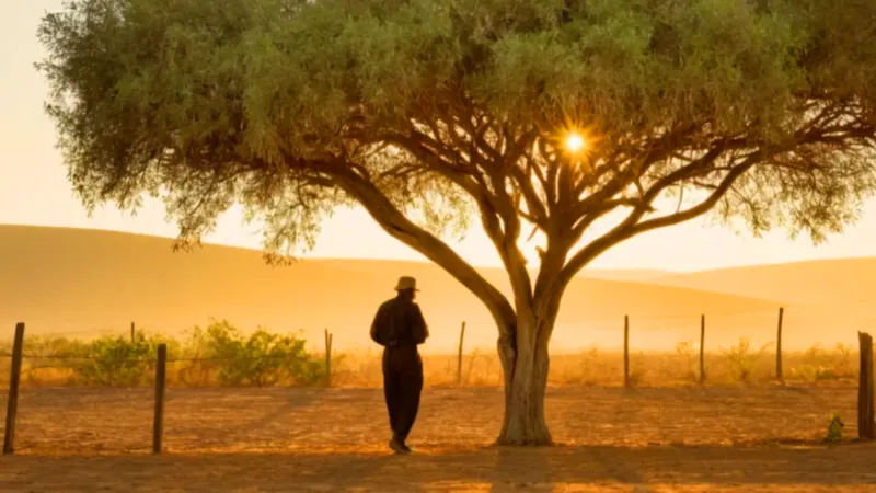Figura solitaria en el jardín al atardecer