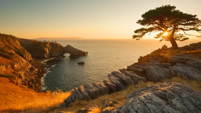 Silueta contempla el océano al atardecer