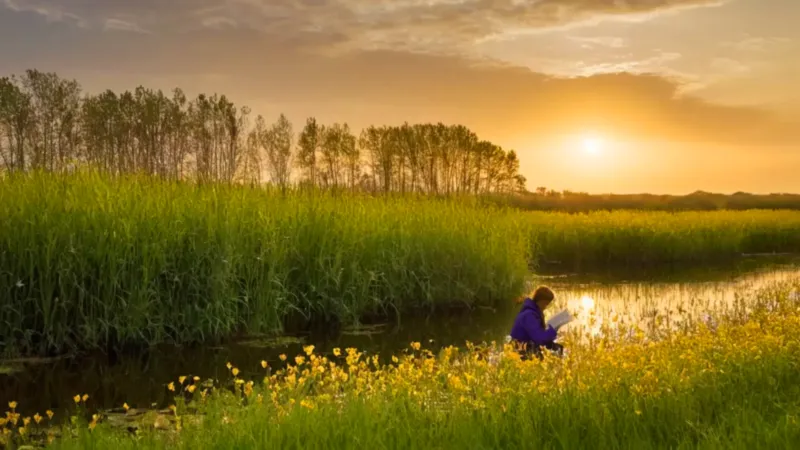 Figura contempla la flora de un pantano