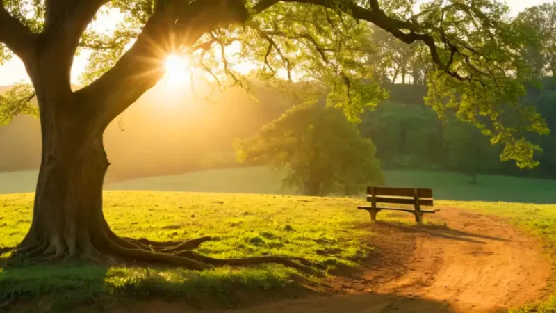 Una silueta descansa bajo un gran árbol