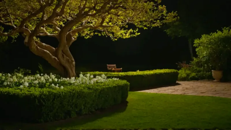 Una figura contempla el jardín iluminado