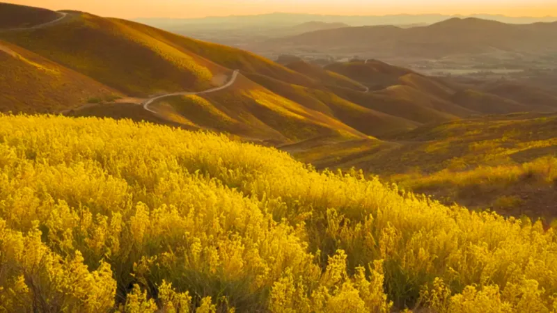Silueta en la colina al atardecer