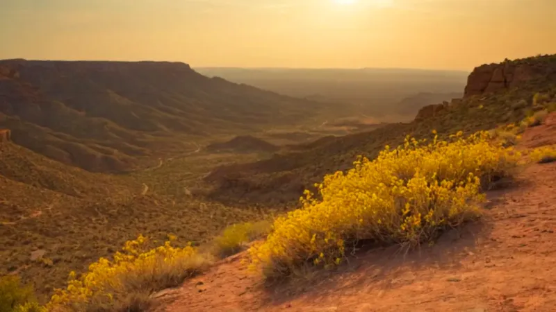 Figura solitaria contempla el valle dorado