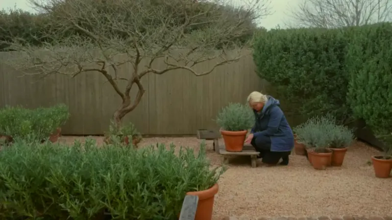 Una persona cuida una planta del frío