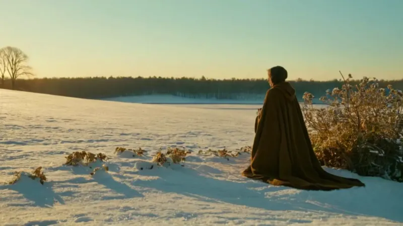 Una figura descubre flores en la nieve