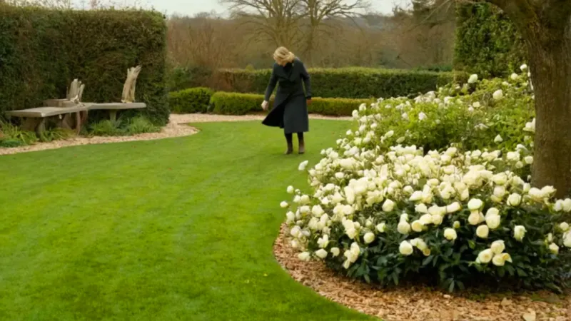 Persona contempla una flor en el invierno